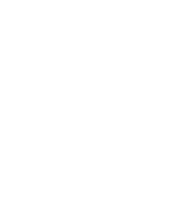 SolanetX Icon
