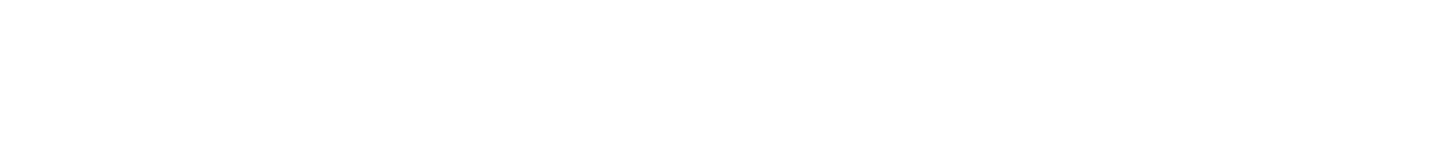 SolanetX Logo